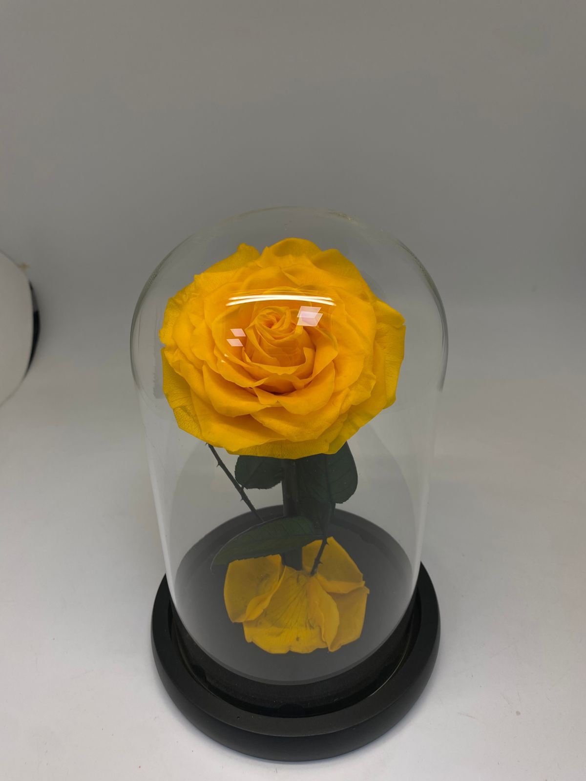Preserve Rose Yellow