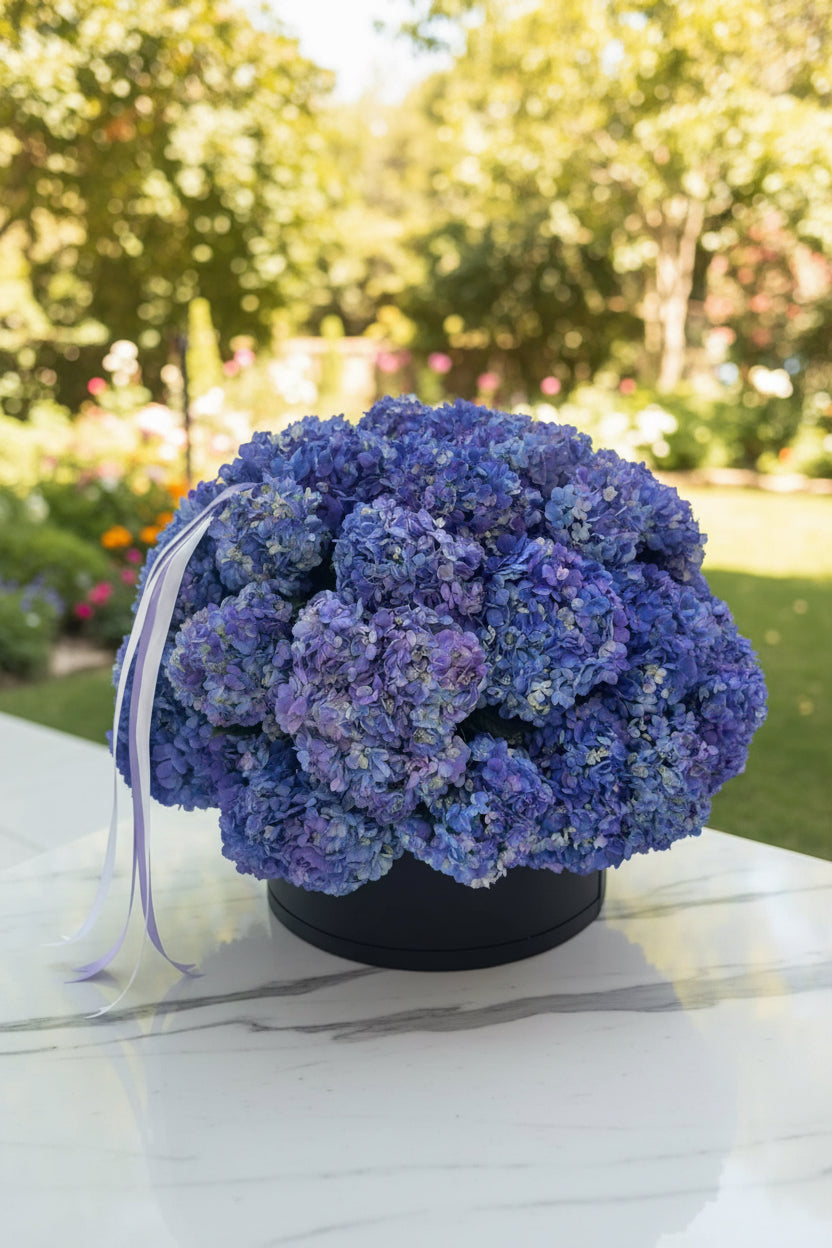 Hydrangea Elegance