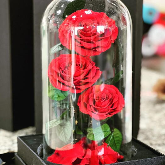 Preserved Roses Red