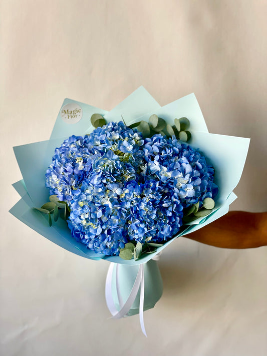 Blue Hydrangeas Flowers | 5 Hydrangeas with Eucalyptus | Flowers for Men | Congratulations Flowers