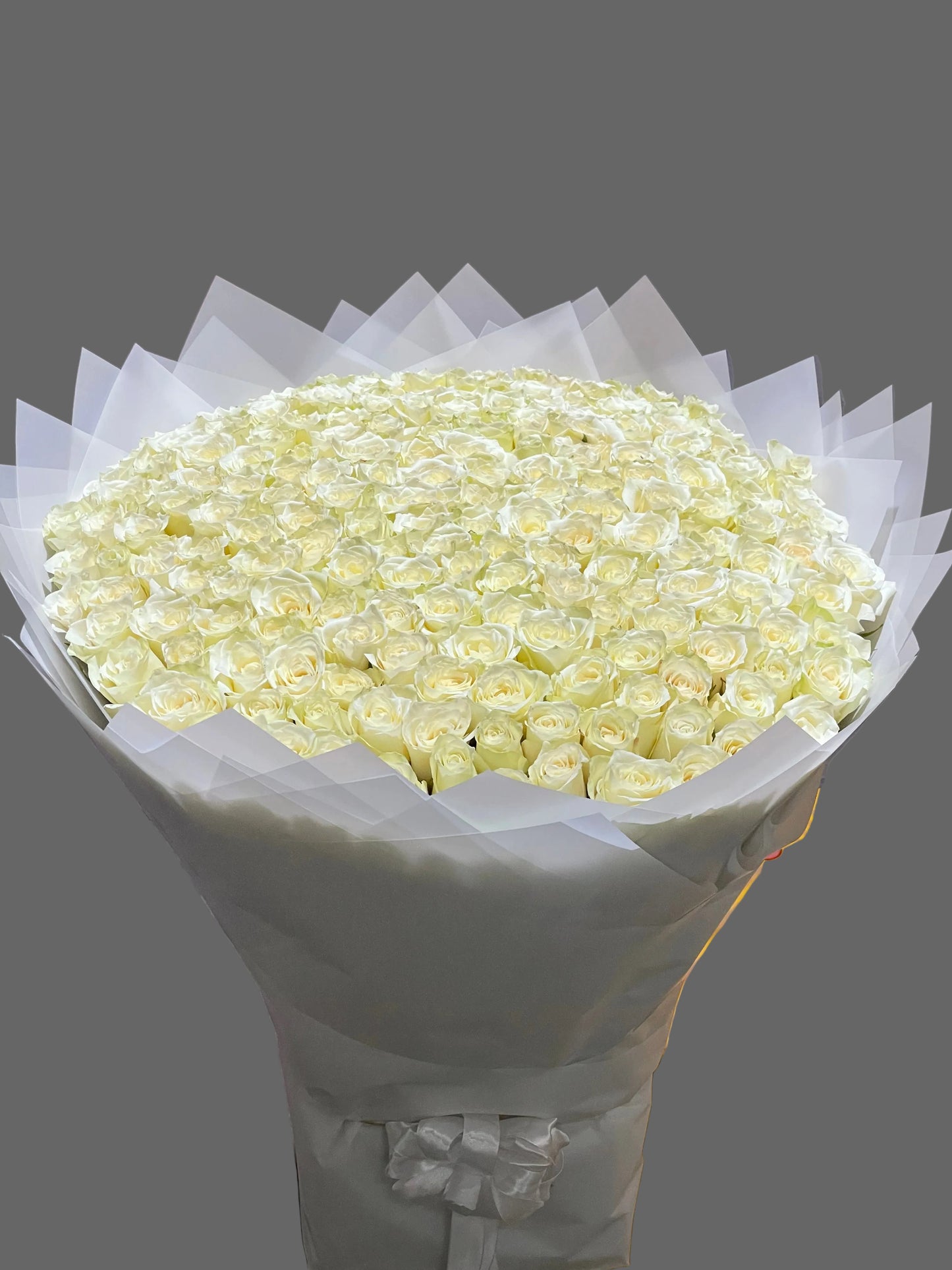 195 White Roses Bouquet | Luxury Mono Flower Arrangement | Elegant Wedding and Celebration Roses