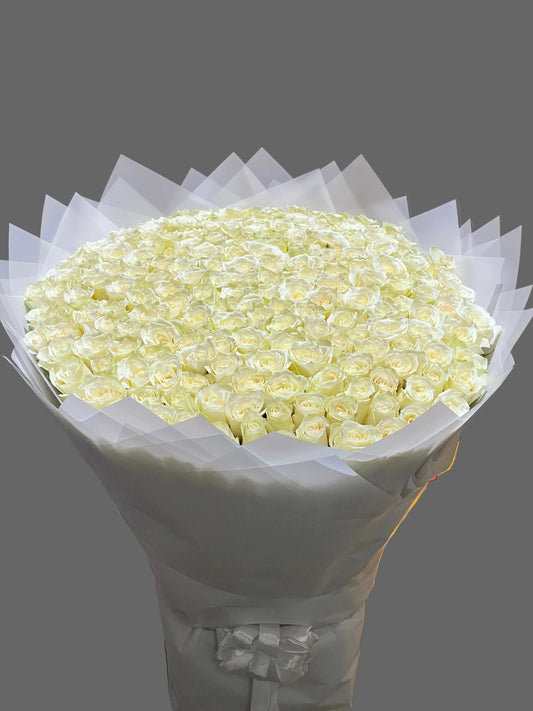 195 White Roses Bouquet | Luxury Mono Flower Arrangement | Elegant Wedding and Celebration Roses