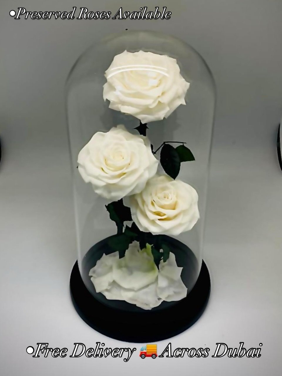Preserve Roses White