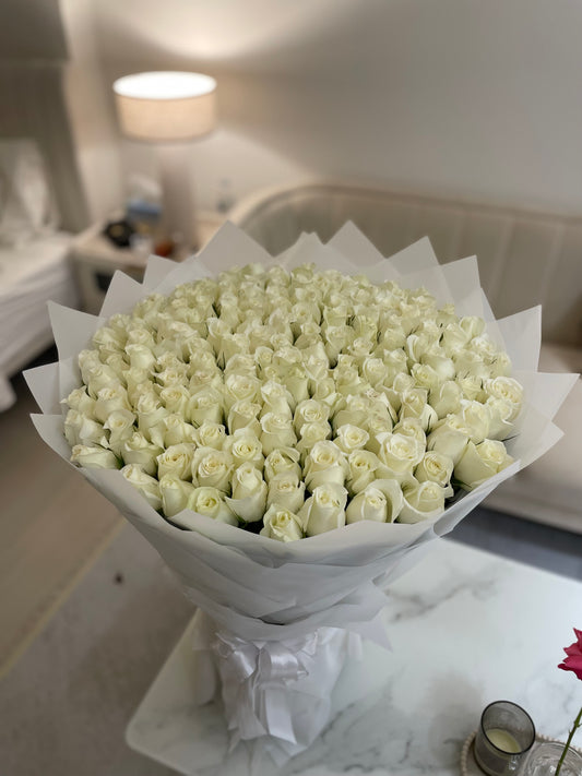 151 White Roses