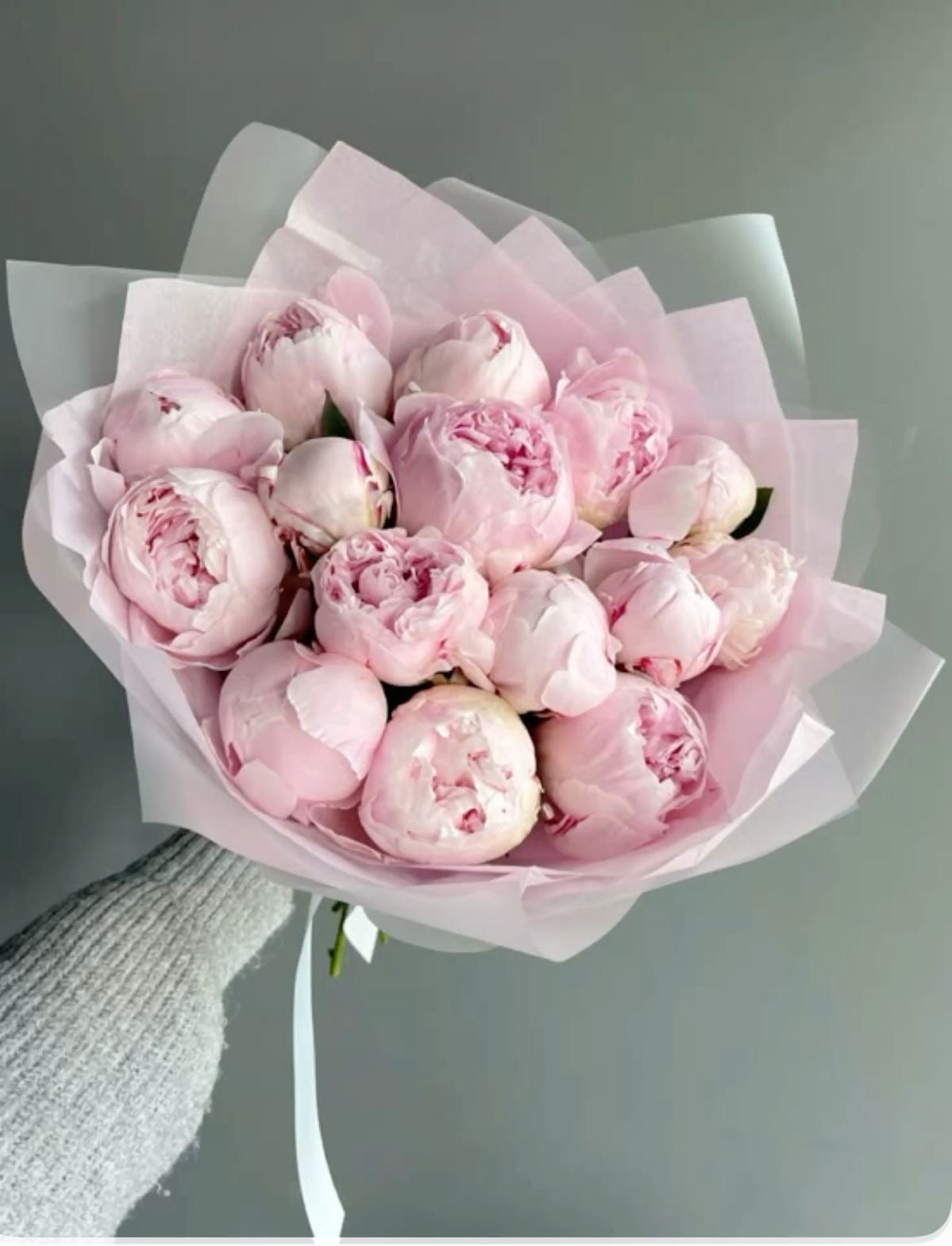 15 Pink Peonies | Luxury Peonies Bouquets | Flowers with Fragrance