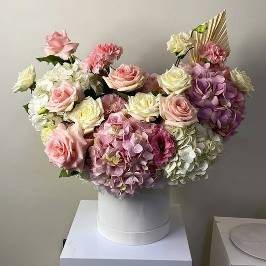 Soft Blossom
