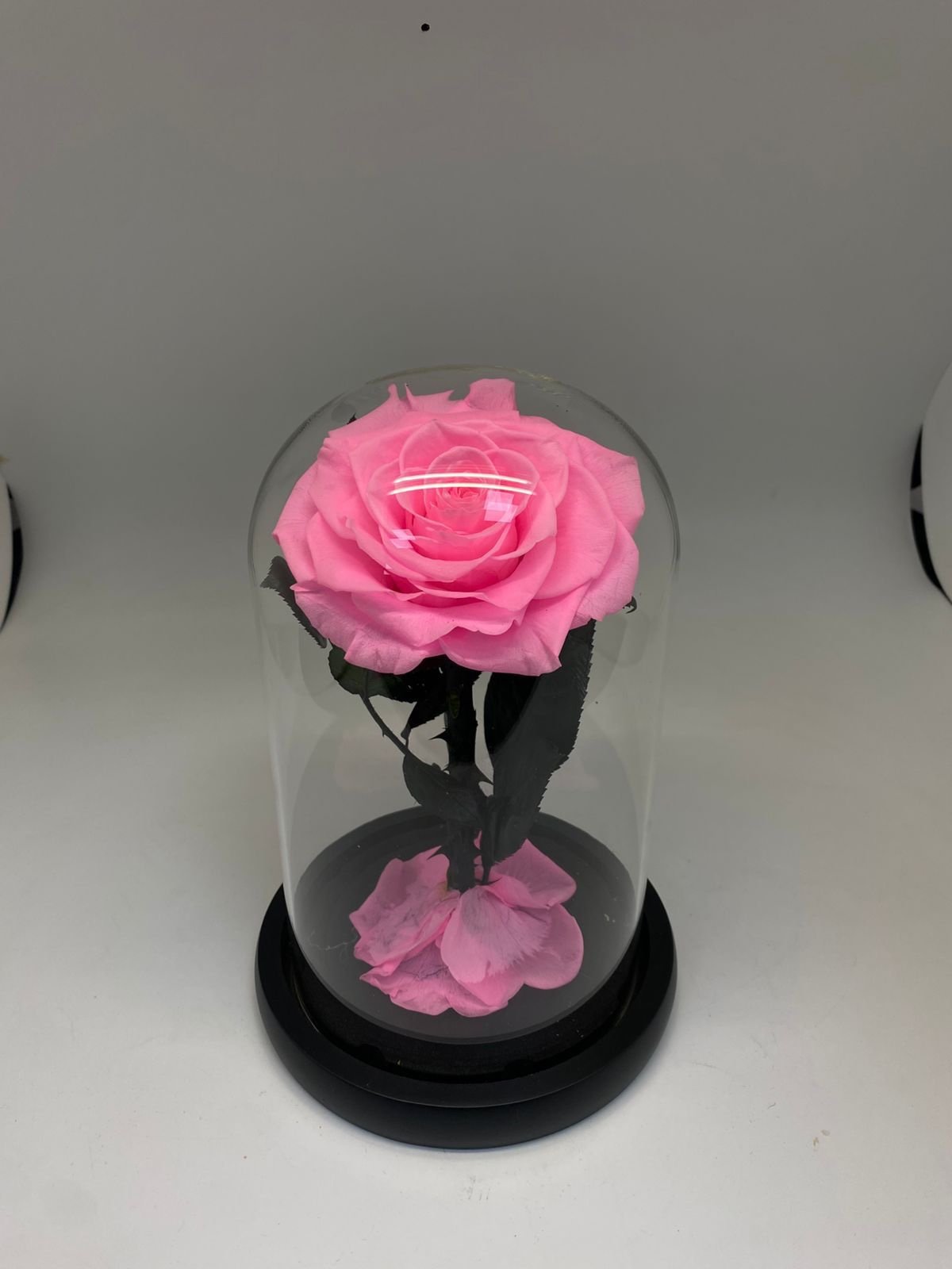 Preserve Rose Pink