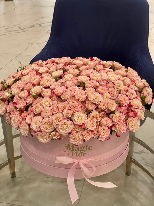75 Spray Rose Pink in Box