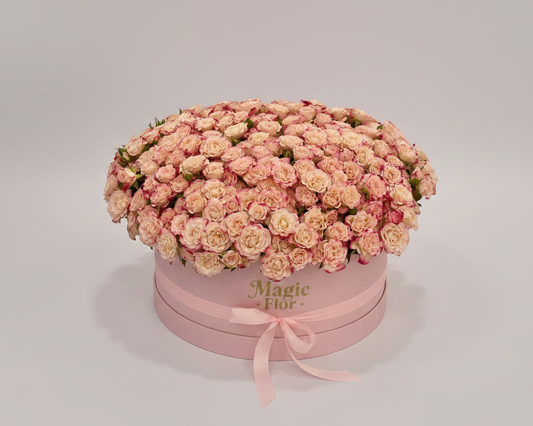 75 Spray Rose Pink in Box