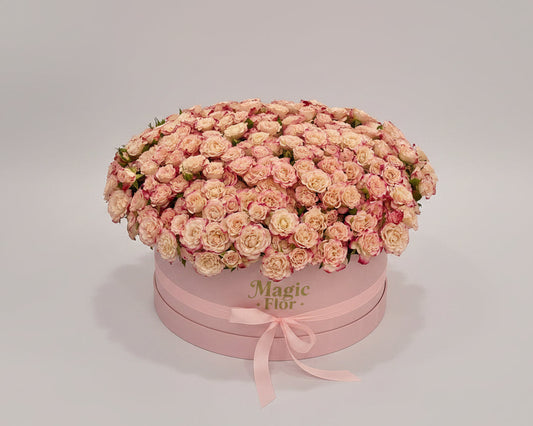 75 Spray Rose Pink in Box