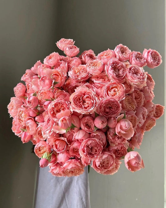 35 Spray Rose Juliata peach