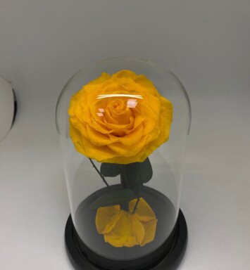 Preserve Rose Yellow