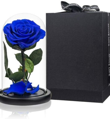 Preserve Rose Blue