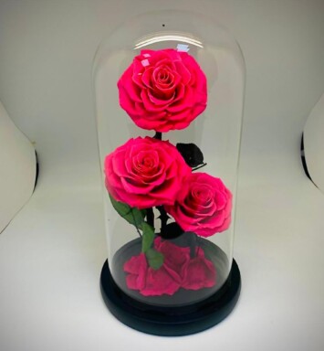 Preserve Roses dark-Pink