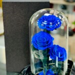 Preserve Blue Roses