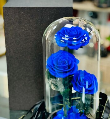 Preserve Blue Roses