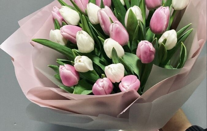 15 Most Beautiful Types of Sunflowers