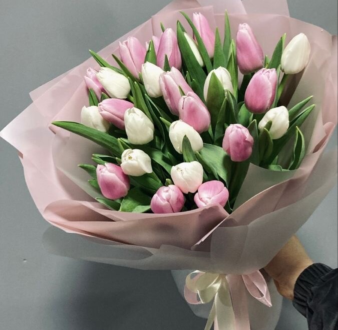 15 Most Beautiful Types of Sunflowers