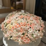 Pastel Color Spray Roses