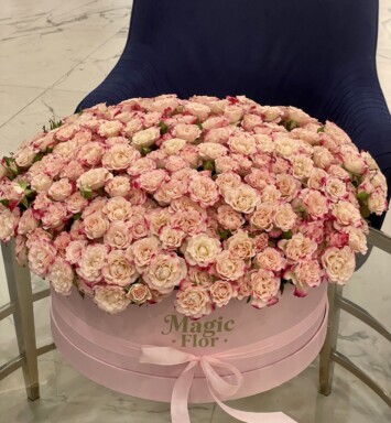 75 Spray Rose Pink in Box