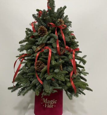 Xmas Tree in Red Red Velvet Box