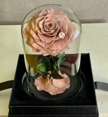 Dusty Pink Rose Preserve