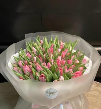 101 Pink Tulips