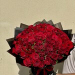 101 Red Roses in Black