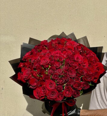 101 Red Roses in Black